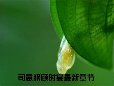 昼夜关系（司意眠顾时宴全文）全文免费阅读无弹窗大结局_（司意眠顾时宴）昼夜关系全文小说最新章节列表笔趣阁（司意眠顾时宴全文）