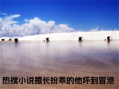 擅长扮乖的他坏到冒泡精彩章节免费阅读_（沈烬苏夏禾）擅长扮乖的他坏到冒泡抖音热推小说最新章节阅读