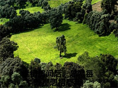 陆明月晏承之热门小说走错房间后，总裁每晚都想招惹我最新章节免费阅读-完结版全文走错房间后，总裁每晚都想招惹我小说在线阅读