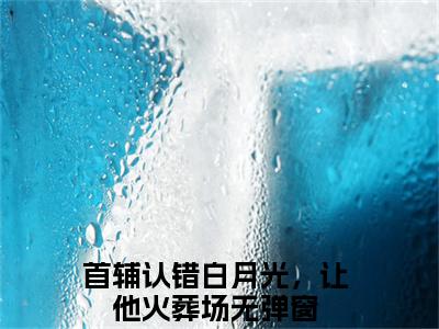 韩屹柳慕杨（首辅认错白月光，让他火葬场）全文免费阅读无弹窗完整版，(韩屹柳慕杨)免费阅读全文最新章节列表_笔趣阁