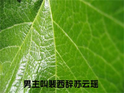 裴西辞苏云瑶(裴西辞苏云瑶)小说全文无删减版完整版_(裴西辞苏云瑶)精选免费小说大结局阅读_笔趣阁