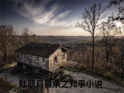 陆明月晏承之小说走错房间后，总裁每晚都想招惹我全文免费阅读(陆明月晏承之已完结)