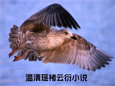 温清瑶褚云衍正版小说强推温清瑶褚云衍免费小说无弹窗