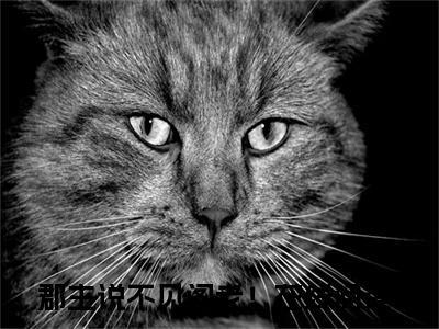 郡主说不见阁老！（顾承烬苏梨浅）全文在线阅读无弹窗大结局_(郡主说不见阁老！在线阅读)最新章节列表_笔趣阁（顾承烬苏梨浅）