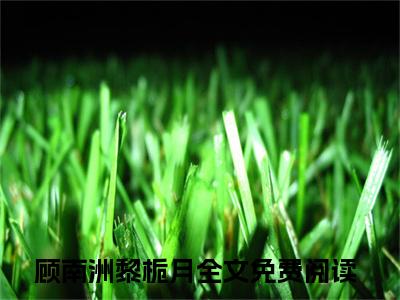 顾南洲黎栀月（他连碰她，都是父亲的命令）全文免费阅读无弹窗大结局-顾南洲黎栀月最新章节列表免费阅读
