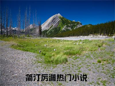 简汀厉渊全文免费阅读无弹窗大结局-简汀厉渊全文在线阅读