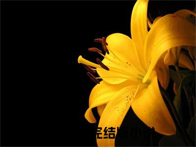 简汀厉渊免费阅读（简汀厉渊）全文免费阅读无弹窗大结局_简汀厉渊免费阅读最新章节列表_笔趣阁（简汀厉渊）
