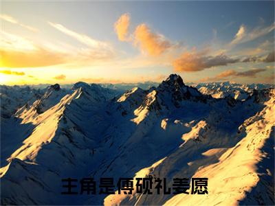 傅砚礼姜愿全文免费阅读_傅砚礼姜愿（傅砚礼姜愿）小说在线阅读最新章节列表笔趣阁