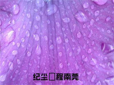纪尘昇程南莞（纪尘昇程南莞）最新章节阅读-热点小说榜单推荐纪尘昇程南莞