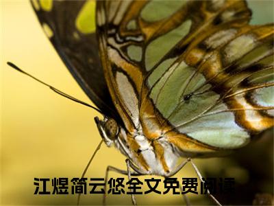 江煜简云悠小说(江煜简云悠)全文免费阅读无弹窗(小说全文免费阅读)江煜简云悠最新章节列表_笔趣阁