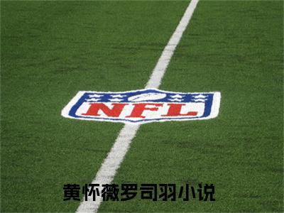黄怀薇罗司羽小说（黄怀薇罗司羽）免费阅读全文无弹窗大结局_黄怀薇罗司羽免费阅读无弹窗小说_小说笔趣阁