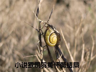 罗司羽黄怀薇小说全文阅读无弹窗大结局_（罗司羽黄怀薇）最新章节列表_笔趣阁