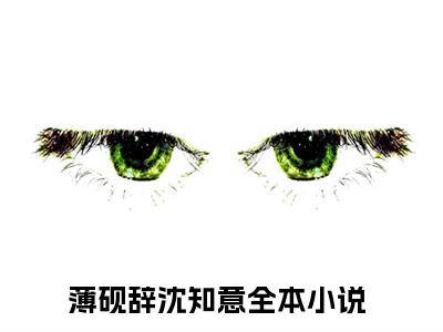 薄砚辞沈知意全文免费阅读无弹窗大结局，薄砚辞沈知意小说精彩免费试读