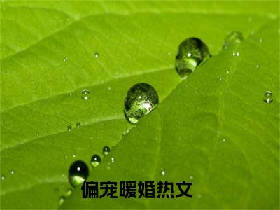 苏澜周司爵全文免费在线阅读_（苏澜周司爵免费阅读无弹窗）偏宠暖婚全文免费完结版阅读（苏澜周司爵）