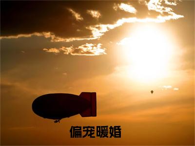 苏澜周司爵全文免费阅读无弹窗大结局_(偏宠暖婚免费阅读)苏澜周司爵最新章节列表_笔趣阁
