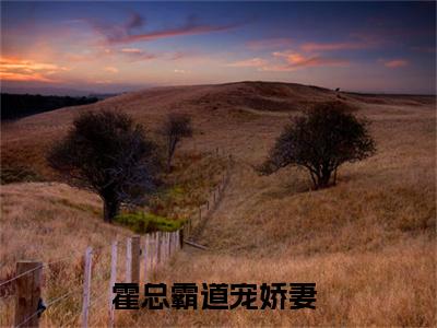 唐岁晚祁时川（霍总霸道宠娇妻）爽文小说全文阅读-唐岁晚祁时川最新章节更新