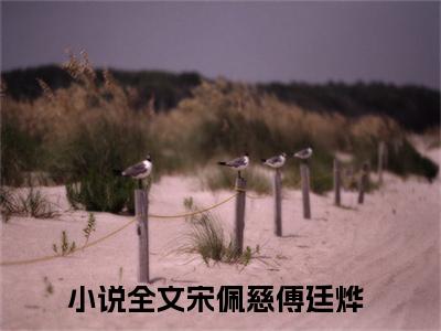 宋佩慈傅廷烨抖音新书热门热荐- 宋佩慈傅廷烨小说在线观看