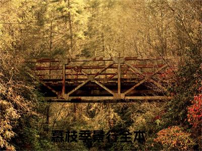 慕枝季景行（慕枝季景行免费小说）全文免费阅读无弹窗大结局_慕枝季景行免费小说最新章节列表_笔趣阁