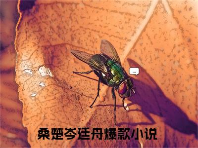 桑楚岑廷舟（桑楚岑廷舟）精彩热门小说-桑楚岑廷舟全章节免费阅读