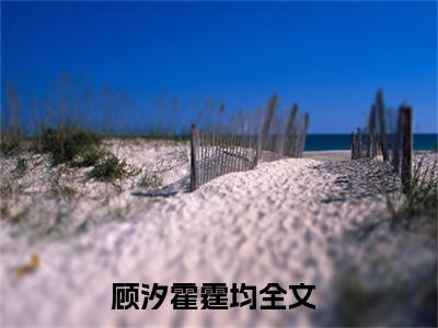 顾汐霍霆均(今夜后，我会对你负责一辈子）小说全文免费读无弹窗大结局_顾汐霍霆均小说全文免费阅读最新章节列表笔趣阁（今夜后，我会对你负责一辈子）