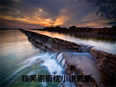 倾心负别离全文免费阅读大结局-林笑谢南忱最新章节阅读