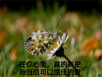 在你心里，真的有把我当成可以信任的妻子吗？的小说免费阅读（严妙倩梁慎泽的小说免费阅读）全文完整版免费阅读