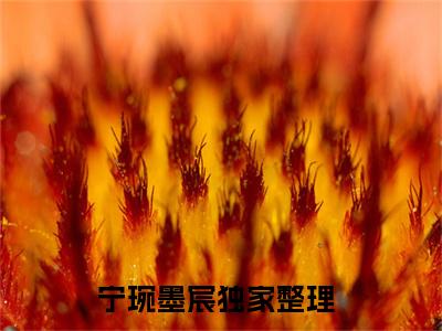 小说推荐宁琬墨宸精彩章节全文阅读-（宁琬墨宸）新书热荐免费小说