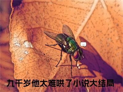 卫璋云鲤（九千岁他太难哄了）全文免费阅读无弹窗_（九千岁他太难哄了的小说全文免费阅读）卫璋云鲤小说最新章节列表无删减_笔趣阁
