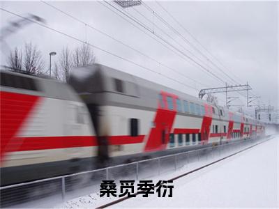 桑觅季衍在线阅读（桑觅季衍）全文免费阅读大结局_桑觅季衍免费最新章节列表_笔趣阁