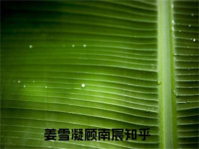 姜雪凝顾南宸小说（姜雪凝顾南宸）热推新书_姜雪凝顾南宸最新章节在线阅读_笔趣阁