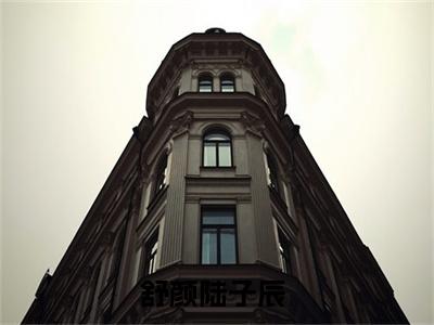 舒颜陆子辰（舒颜陆子辰）精彩热门小说无弹窗-舒颜陆子辰全文免费阅读