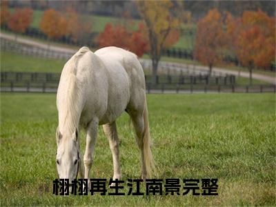 栩栩再生江南景（谢栩栩莫政）全文免费阅读无弹窗大结局_谢栩栩莫政（栩栩再生江南景免费阅读）_笔趣阁
