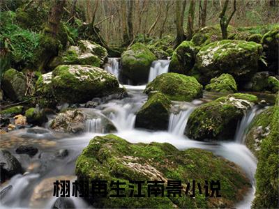栩栩再生江南景(谢栩栩莫政)免费全文阅读小说_（栩栩再生江南景）谢栩栩莫政最新章节列表-笔趣阁（栩栩再生江南景）