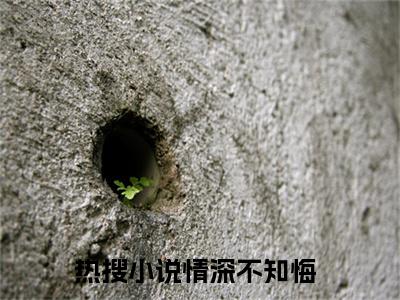 陌语汐顾北夜全集章节小说免费阅读完整版（情深不知悔）-情深不知悔小说免费阅读