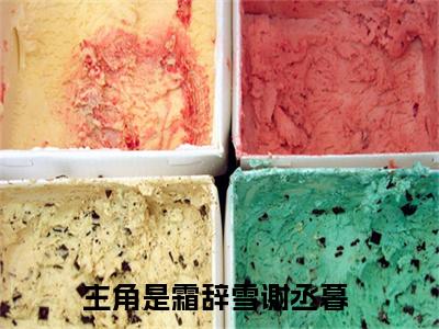 霜辞雪谢丞暮小说（霜辞雪谢丞暮）全文免费阅读无弹窗大结局_霜辞雪谢丞暮小说最新章节列表_笔趣阁（霜辞雪谢丞暮）