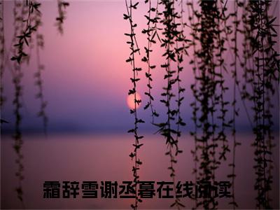 霜辞雪谢丞暮（霜辞雪谢丞暮）小说全文免费阅读无弹窗_（霜辞雪谢丞暮）霜辞雪谢丞暮小说全文免费阅读最新章节列表笔趣阁（霜辞雪谢丞暮）