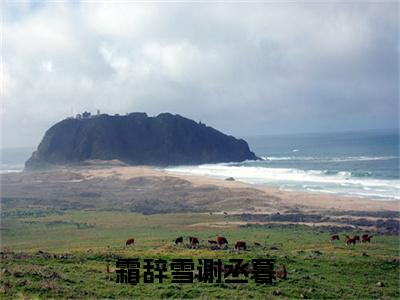 霜辞雪谢丞暮（霜辞雪谢丞暮）全文免费阅读无弹窗大结局_（霜辞雪谢丞暮）最新章节列表笔趣阁