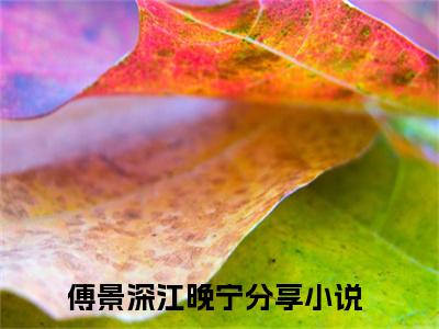 傅景深江晚宁（傅景深江晚宁）全文免费阅读最新章节_傅景深江晚宁大结局精彩阅读_笔趣阁
