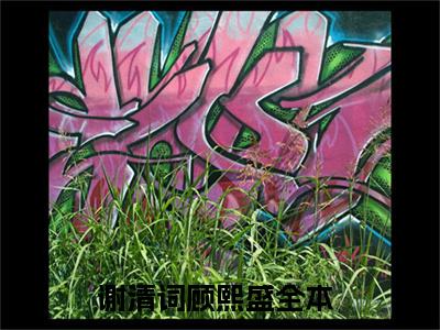 谢清词顾熙盛(谢清词顾熙盛)全文免费阅读无弹窗大结局_谢清词顾熙盛(谢清词顾熙盛小说全文大结局)全章节免费在线阅读（谢清词顾熙盛）