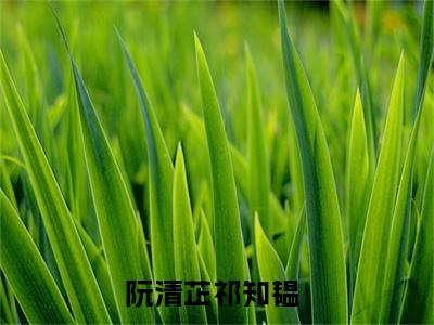 阮清芷祁知韫全文免费阅读无弹窗大结局_ （阮清芷祁知韫完结）阮清芷祁知韫小说最新章节列表