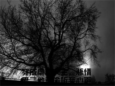 穿成虐文女主，悲情男二他竟偷听我心声(白锦季霄云)全文免费阅读无弹窗_（穿成虐文女主，悲情男二他竟偷听我心声全文免费阅读无弹窗）穿成虐文女主，悲情男二他竟偷听我心声最新章节列表_笔趣阁(白锦季霄云)