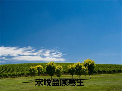 宋晚盈顾寒生（宋晚盈顾寒生）全文免费阅读无弹窗大结局_(宋晚盈顾寒生)宋晚盈顾寒生免费阅读无弹窗最新章节列表_笔趣阁（宋晚盈顾寒生）