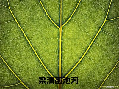 梁清菡池洵（有些事情，一旦发生，就不能和好了小说）全文免费阅读无弹窗大结局_梁清菡池洵小说有些事情，一旦发生，就不能和好了列表_笔趣阁(有些事情，一旦发生，就不能和好了小说）
