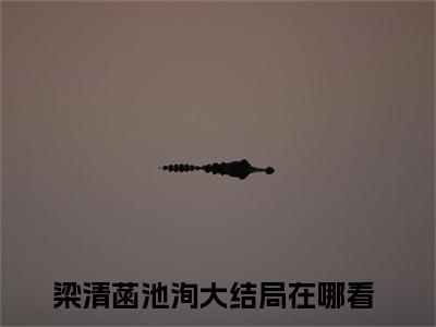 有些事情，一旦发生，就不能和好了免费阅读（梁清菡池洵）全文免费阅读无弹窗大结局_有些事情，一旦发生，就不能和好了免费阅读最新章节列表_笔趣阁（梁清菡池洵）