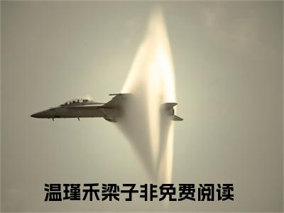 《温瑾禾梁子非完整小说》温瑾禾梁子非完结版全章节阅读