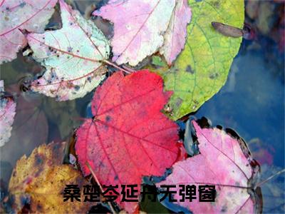 桑楚岑延舟(桑楚岑延舟)全文免费阅读无弹窗大结局-桑楚岑延舟求书热文免费阅读