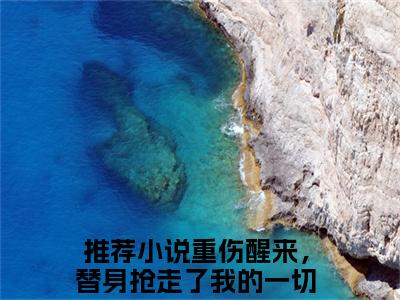玄迟沈云夭全文免费（重伤醒来，替身抢走了我的一切）全文免费阅读无弹窗大结局_（重伤醒来，替身抢走了我的一切全文免费玄迟沈云夭）