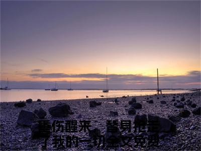 玄迟沈云夭(重伤醒来，替身抢走了我的一切)全文免费阅读无弹窗大结局_玄迟沈云夭完整版在线阅读章节列表_笔趣阁