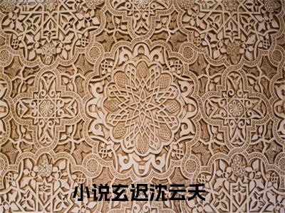 重伤醒来，替身抢走了我的一切小说全文免费阅读(玄迟沈云夭)全文免费阅读无弹窗大结局_ 玄迟沈云夭最新章节列表_笔趣阁（重伤醒来，替身抢走了我的一切小说）