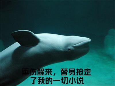 《重伤醒来，替身抢走了我的一切》主角是玄迟沈云夭全文免费阅读已完结
